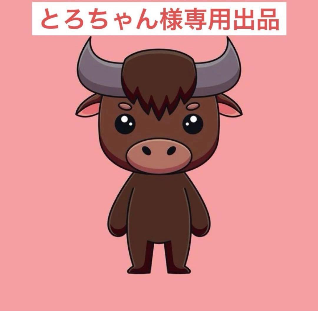 とろちゃん出品(3点)