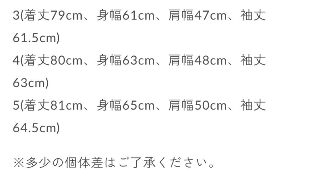 AURALEE/オーラリーWASHED FINX TWILL SHIRTサイズ5