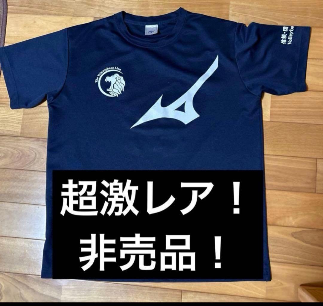 【超激レア！非売品！】日本体育大学男子バレーボール部Tシャツ