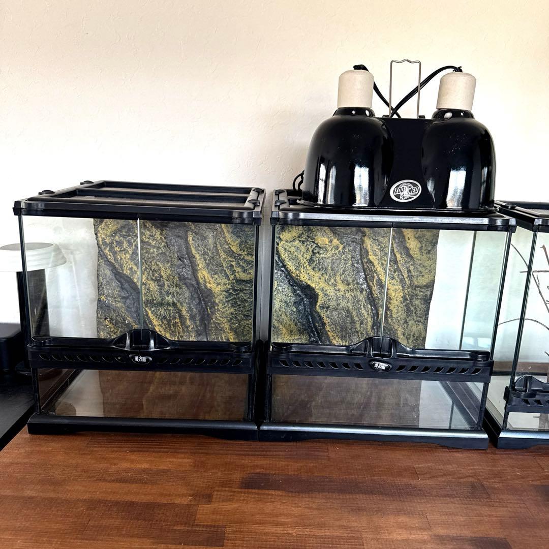 GEX エキゾテラ グラステラリウム3030 2個