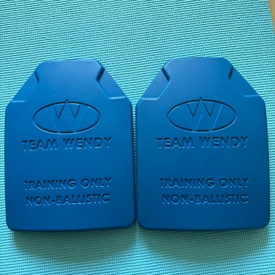 TEAM WENDY トレーニング用プレート 2枚セット