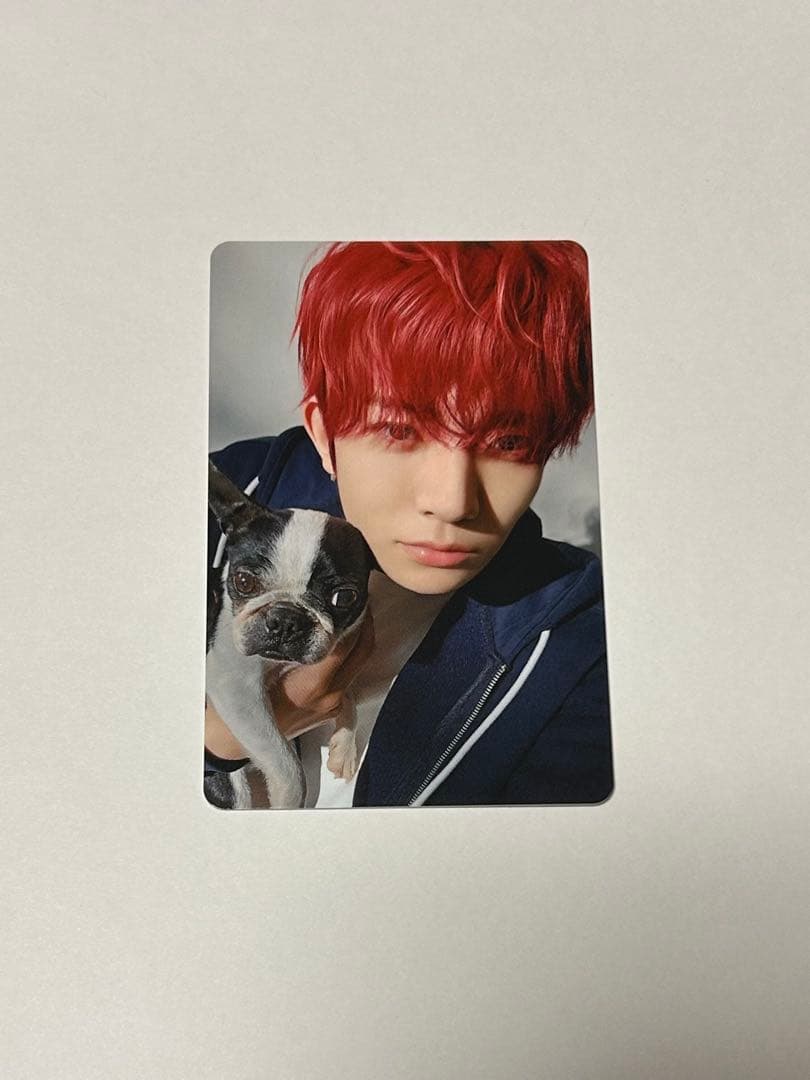 ENHYPEN 2025 アンケートトレカ ヒスン