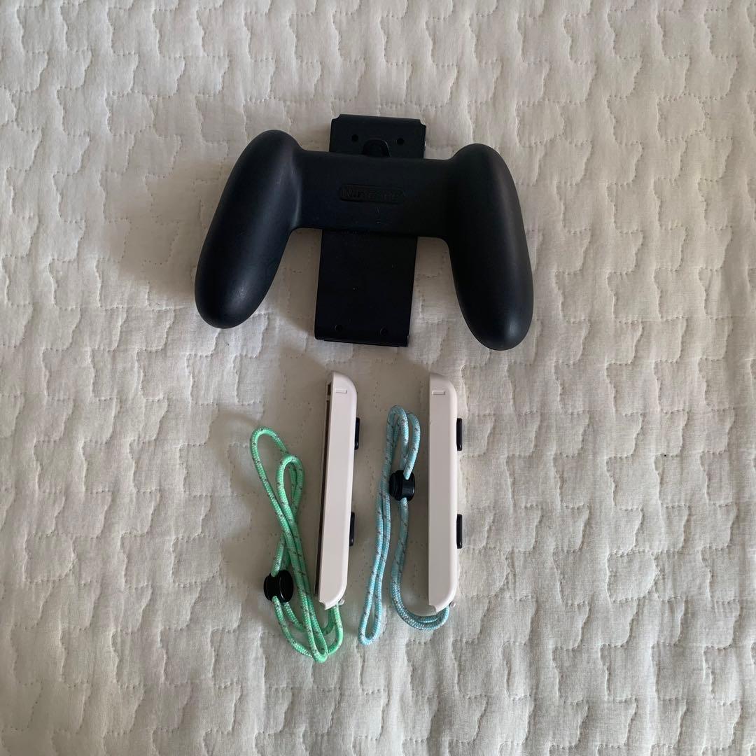 Nintendo Switch どうぶつの森