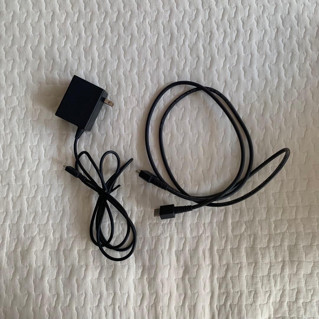 Nintendo Switch どうぶつの森