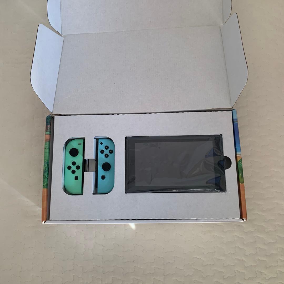 Nintendo Switch どうぶつの森