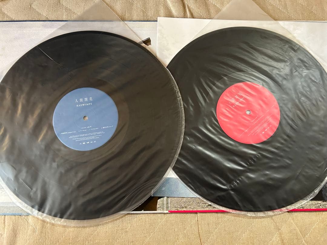 RADWIMPS 人間開花 レコード