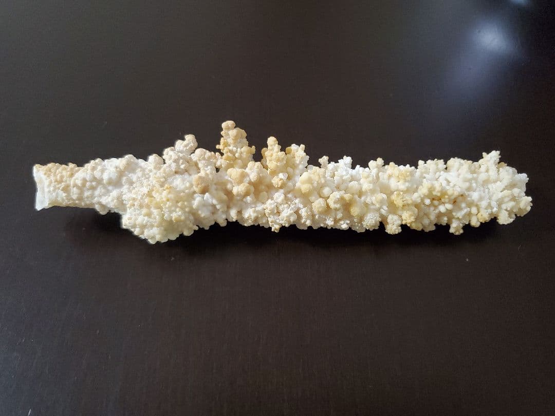 鍾乳管(鍾乳石)