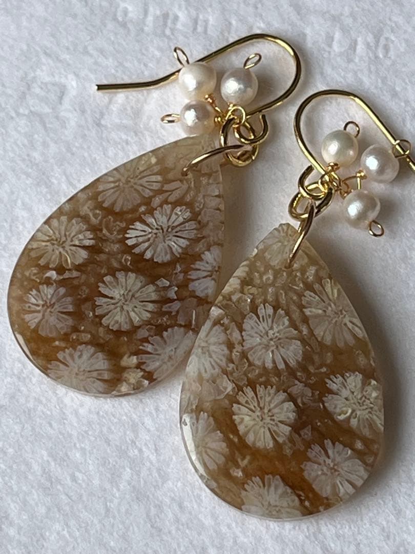 なまけもの　14kgf 透け感綺麗なフォッシルコーラル ピアス