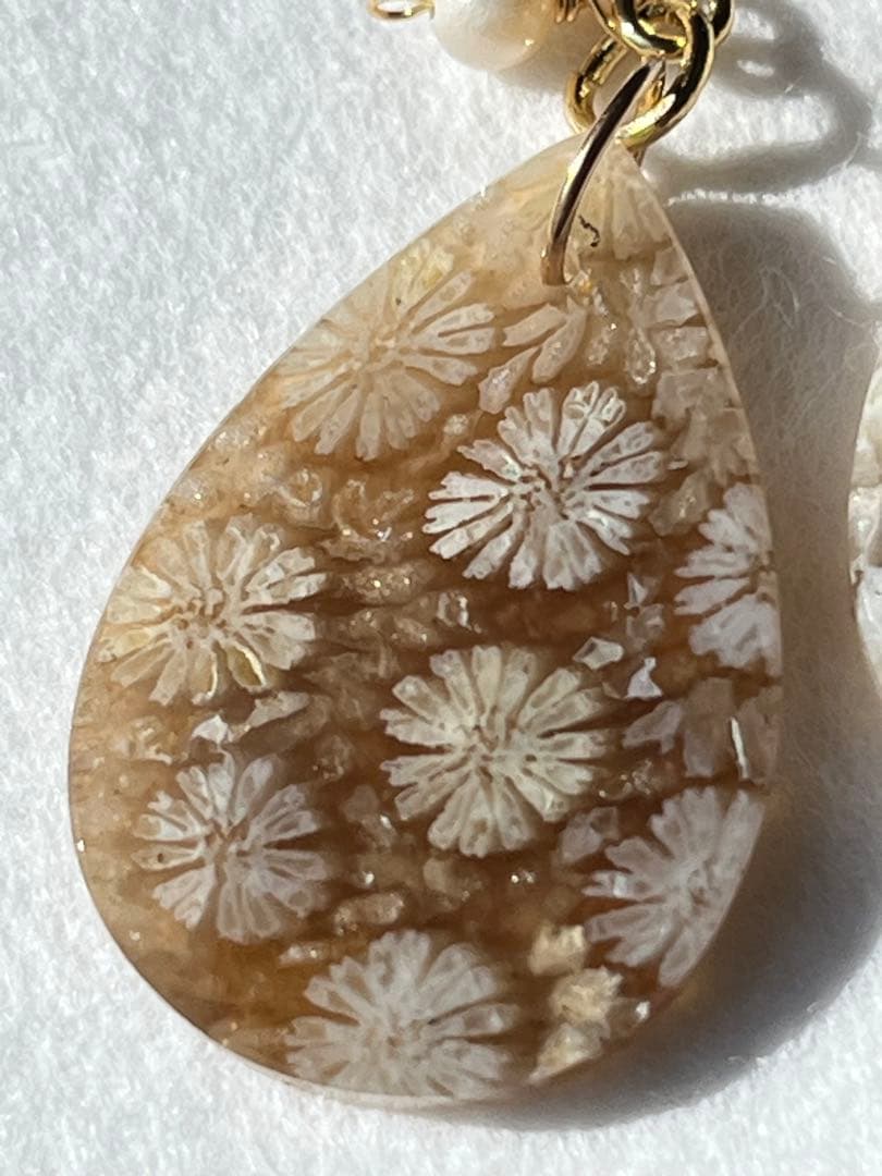 なまけもの　14kgf 透け感綺麗なフォッシルコーラル ピアス