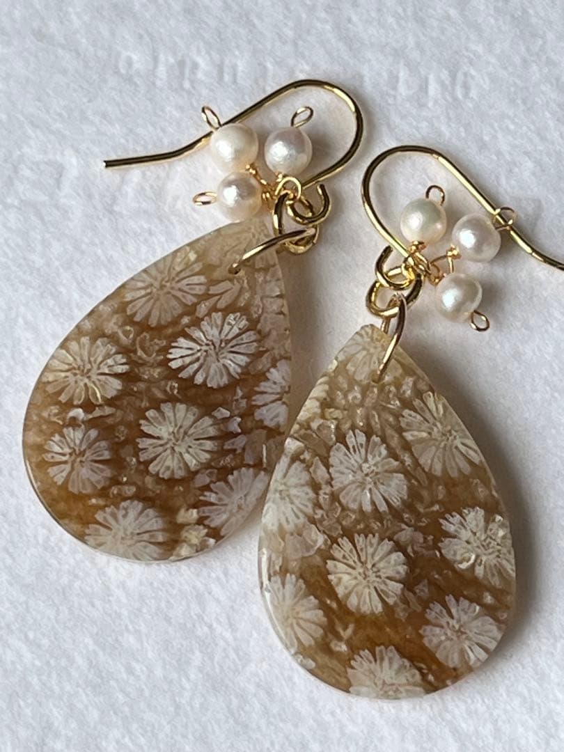 なまけもの　14kgf 透け感綺麗なフォッシルコーラル ピアス