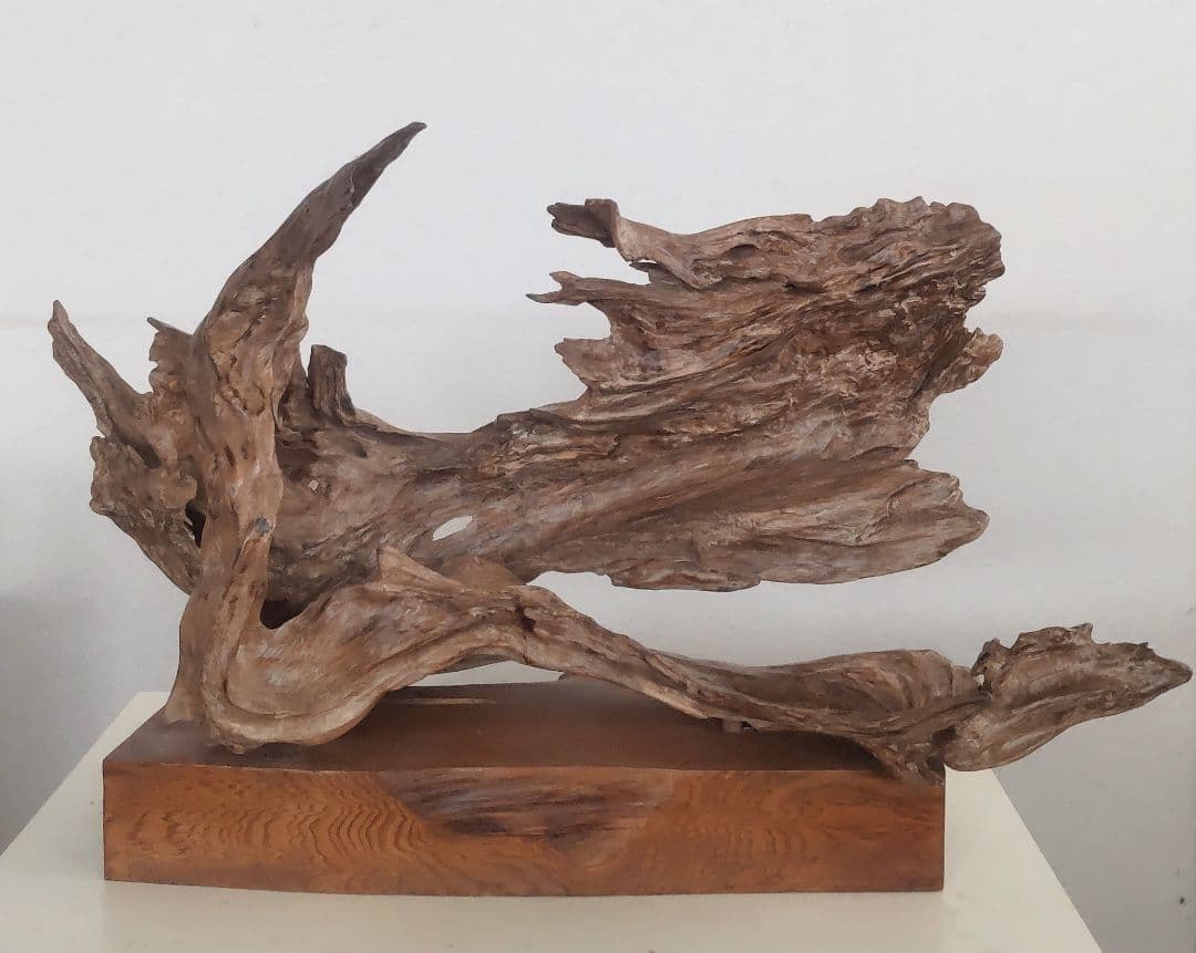 屋久杉 置物 （上部のみ）