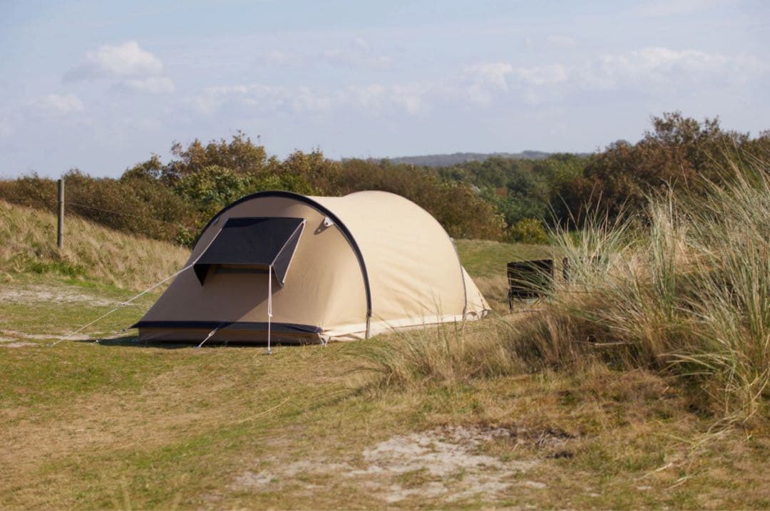 レア　karsten novia 試し張りのみ。