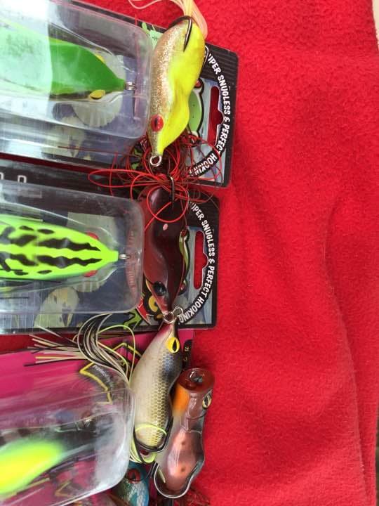 フロッグ アイオビー ガバチョ