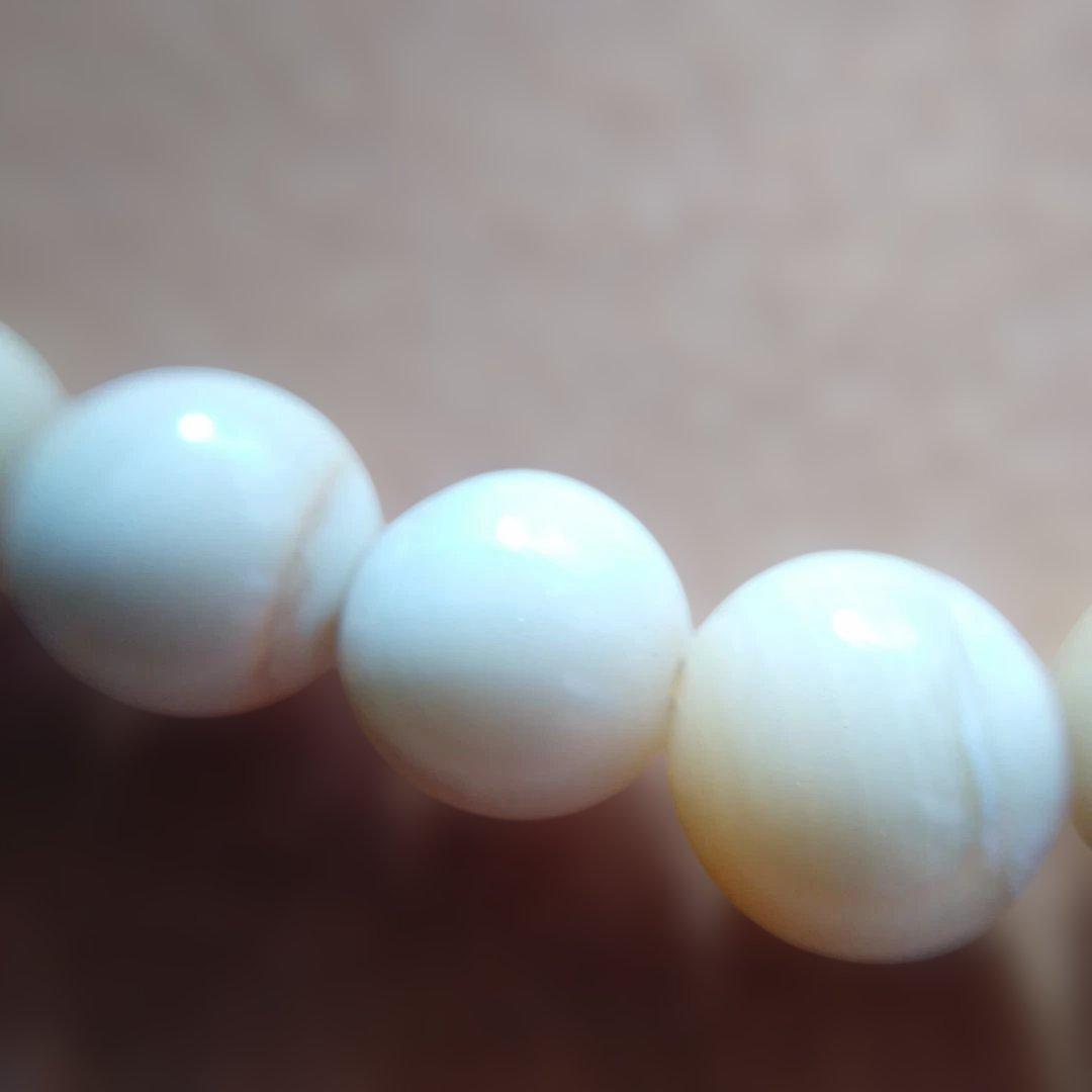 鯨歯　マッコウ鯨　牙玉ブレスレット　19㎝