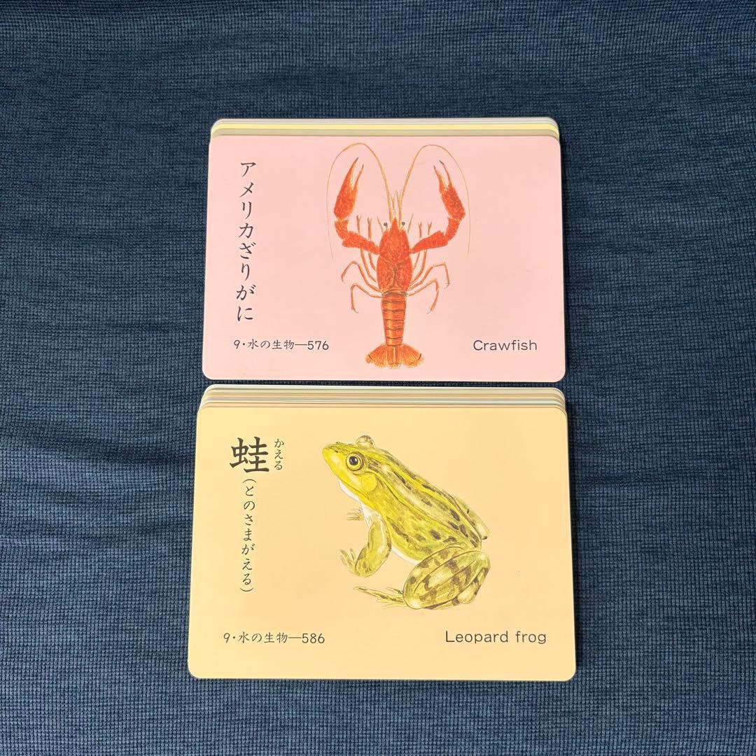 家庭保育園 たのしい絵カード1500 ABCセット CD付き フラッシュカード