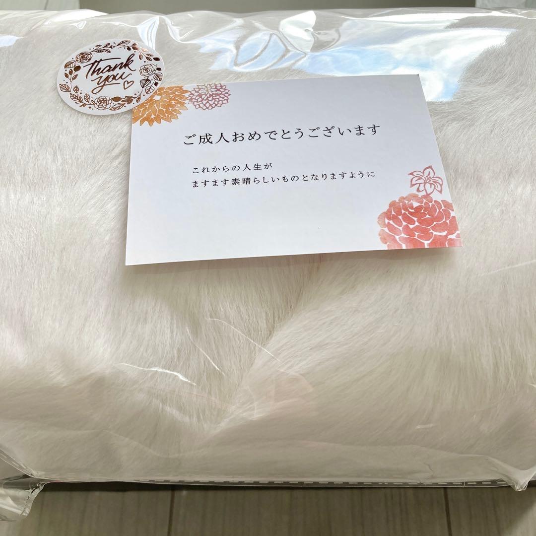 ★BECKS★成人式 振袖 新品 和装 小物セット