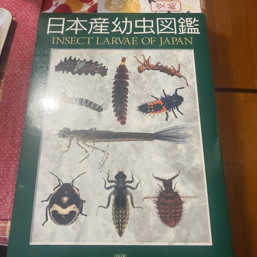日本産幼虫図鑑