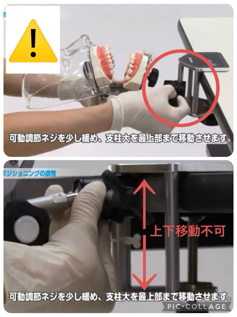 シンプルマネキンIII 歯科 NISSIN ニッシン 歯科用模型 顎模型 衛生士