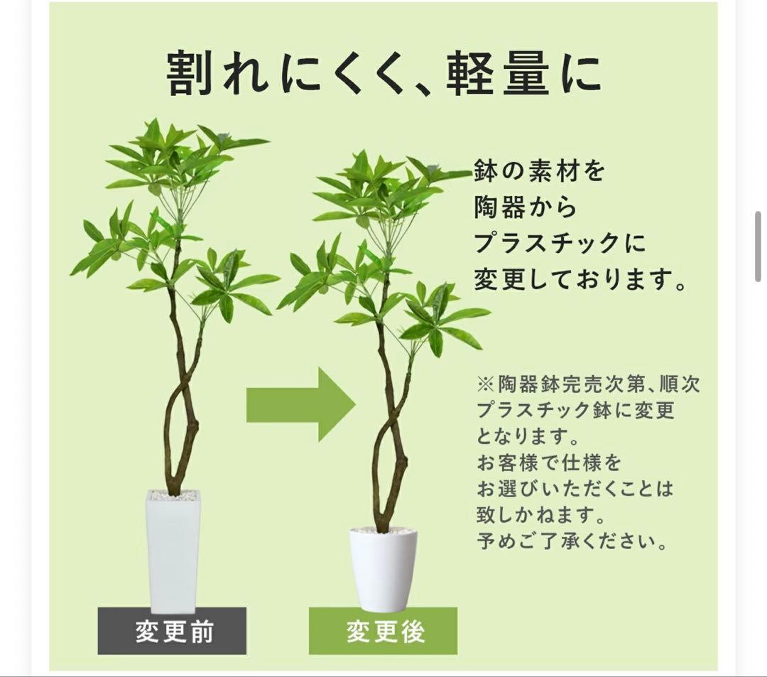 人工観葉植物 Augusta オーガスタ