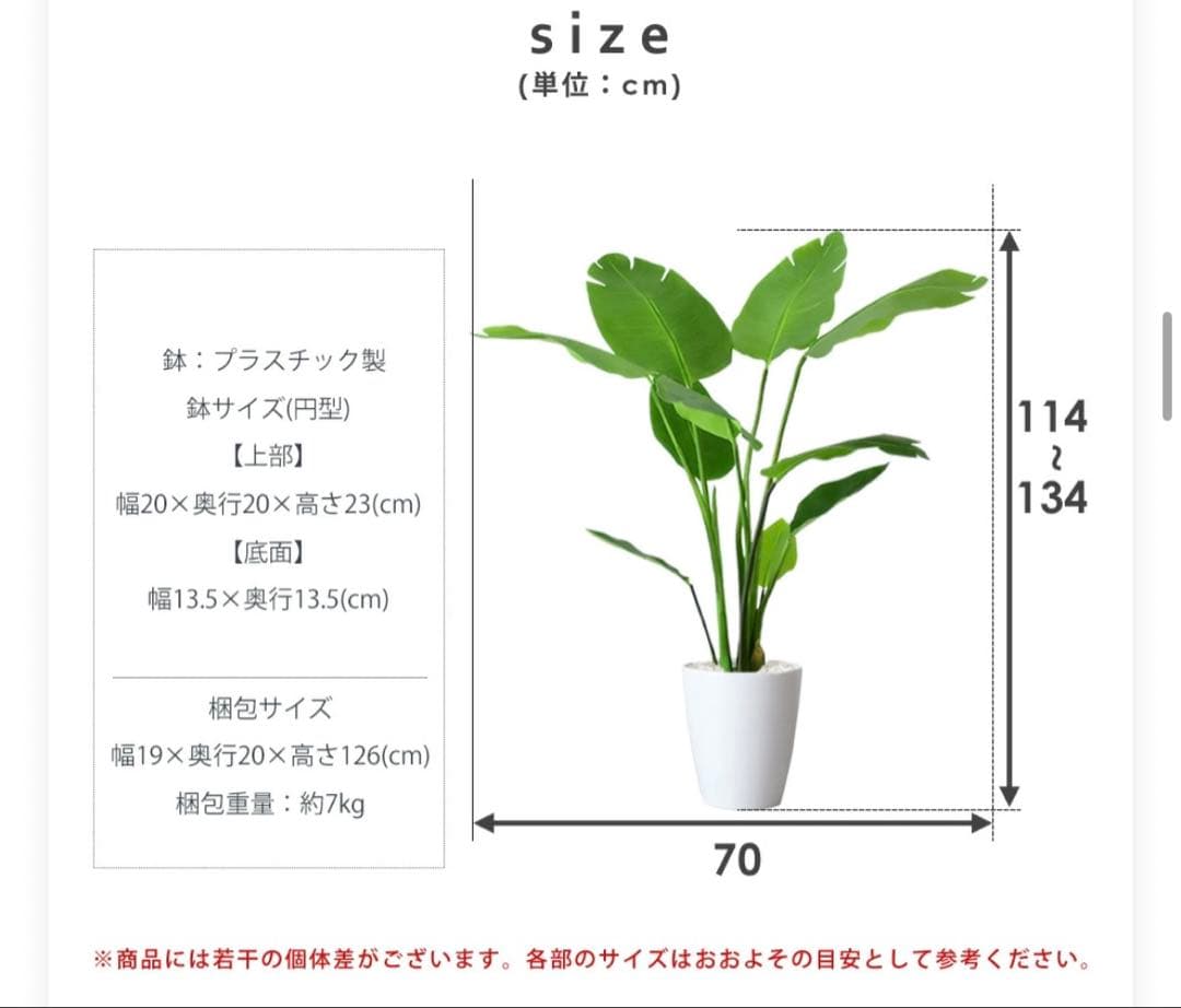 人工観葉植物 Augusta オーガスタ