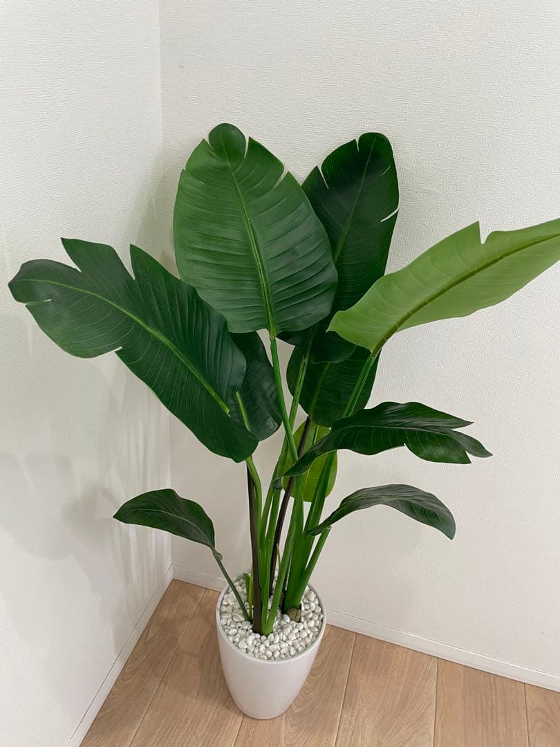 人工観葉植物 Augusta オーガスタ