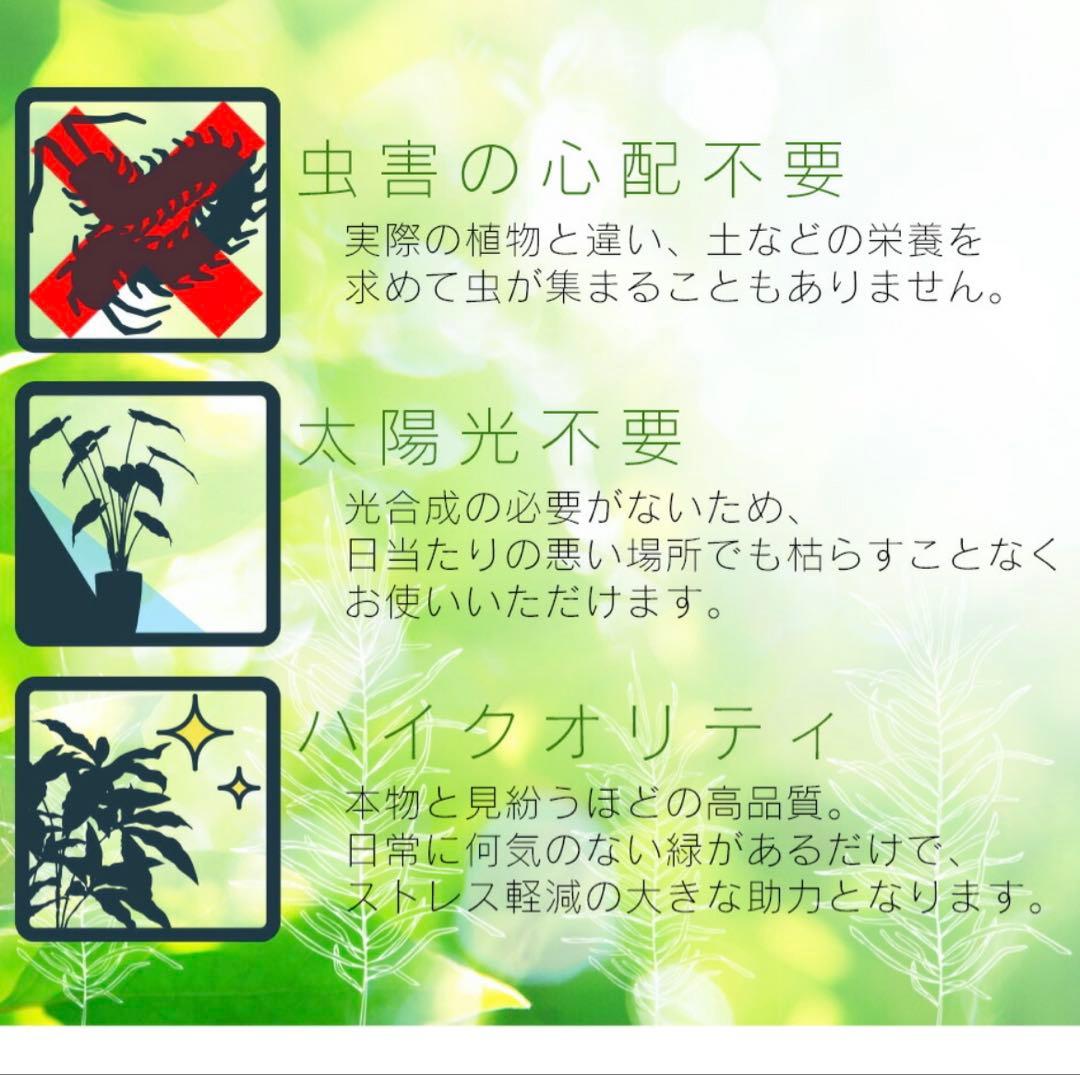 人工観葉植物 Augusta オーガスタ