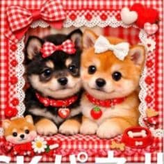 ☆受付☆柴犬 No.A