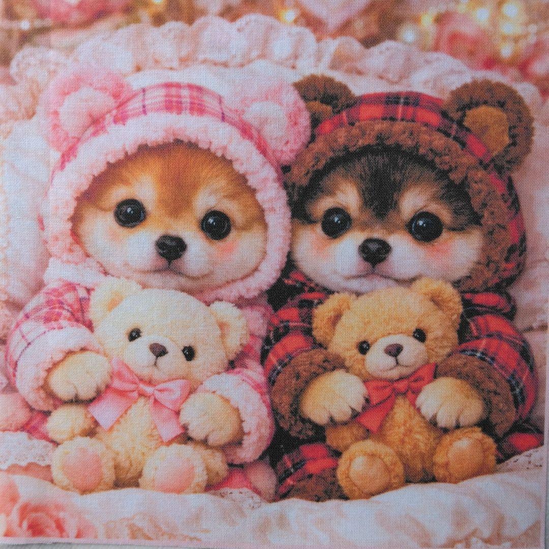 ☆受付☆柴犬 No.A