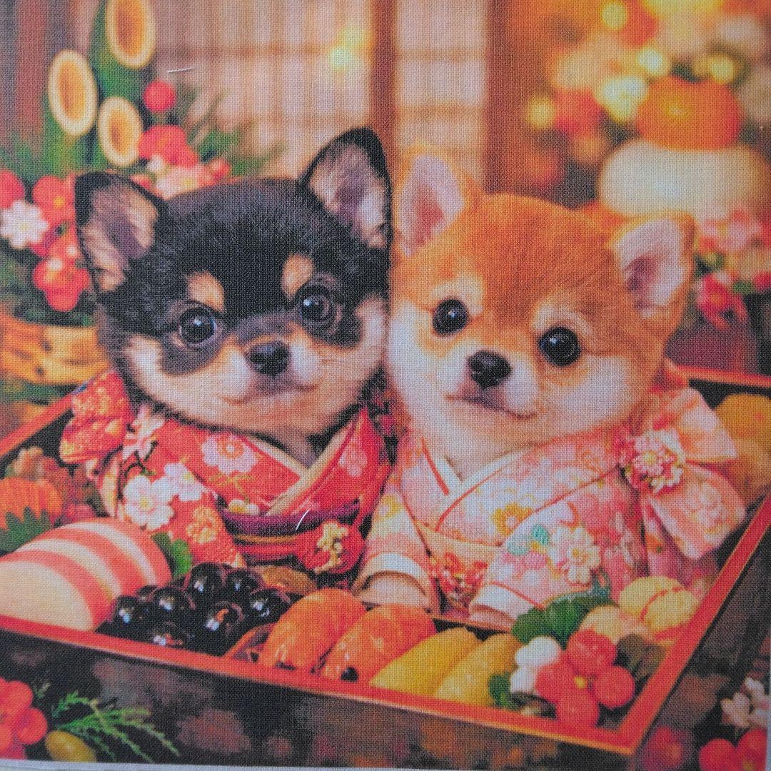 ☆受付☆柴犬 No.A