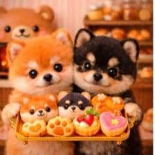 ☆受付☆柴犬 No.A