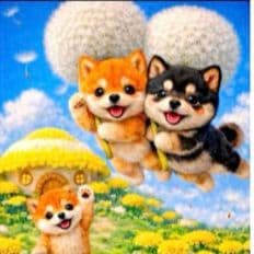 ☆受付☆柴犬 No.A