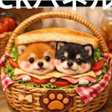 ☆受付☆柴犬 No.A