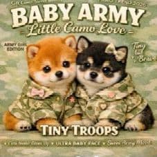 ☆受付☆柴犬 No.A