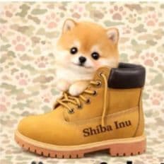 ☆受付☆柴犬 No.A