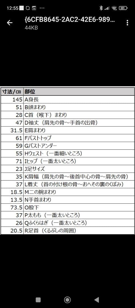 【holly】細身キッズセミドライオーダーウェットスーツ145cmー155cm
