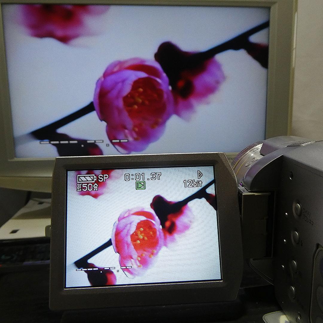 動作良好 パナソニック NV-GS400 MiniDVビデオDVDダビングに最適