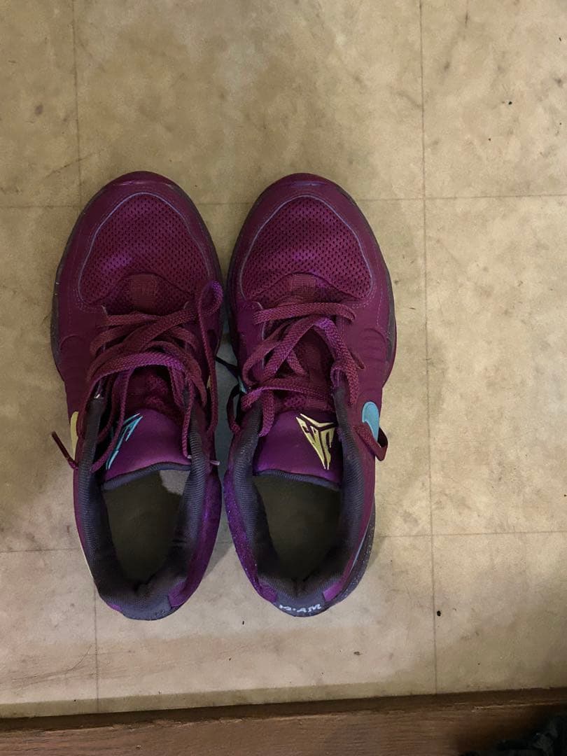 シューズ(男性用) Nike ja 2 EP purple sky