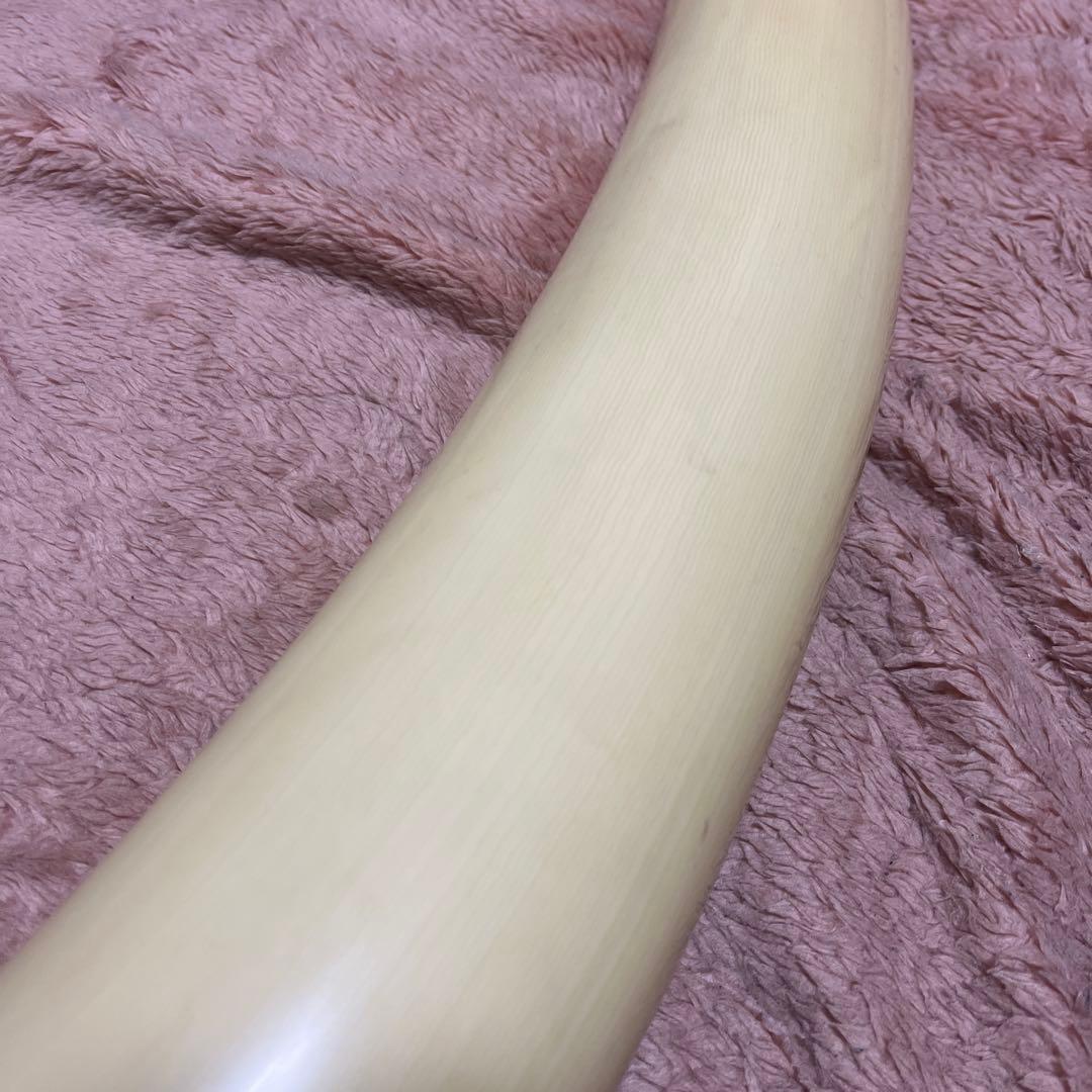 象牙風　置物　模造？レプリカ？