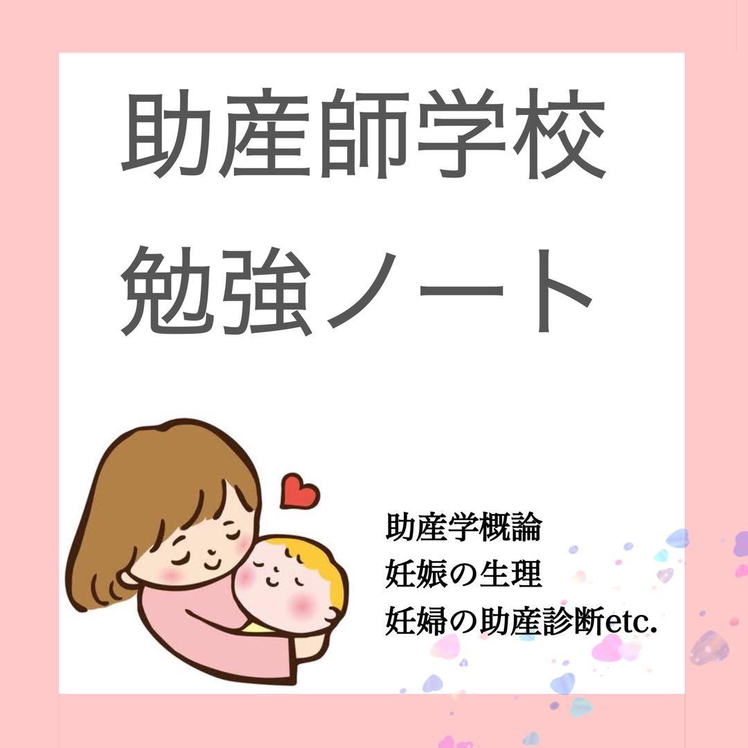 ひろちゃんページ　産科勉強セット