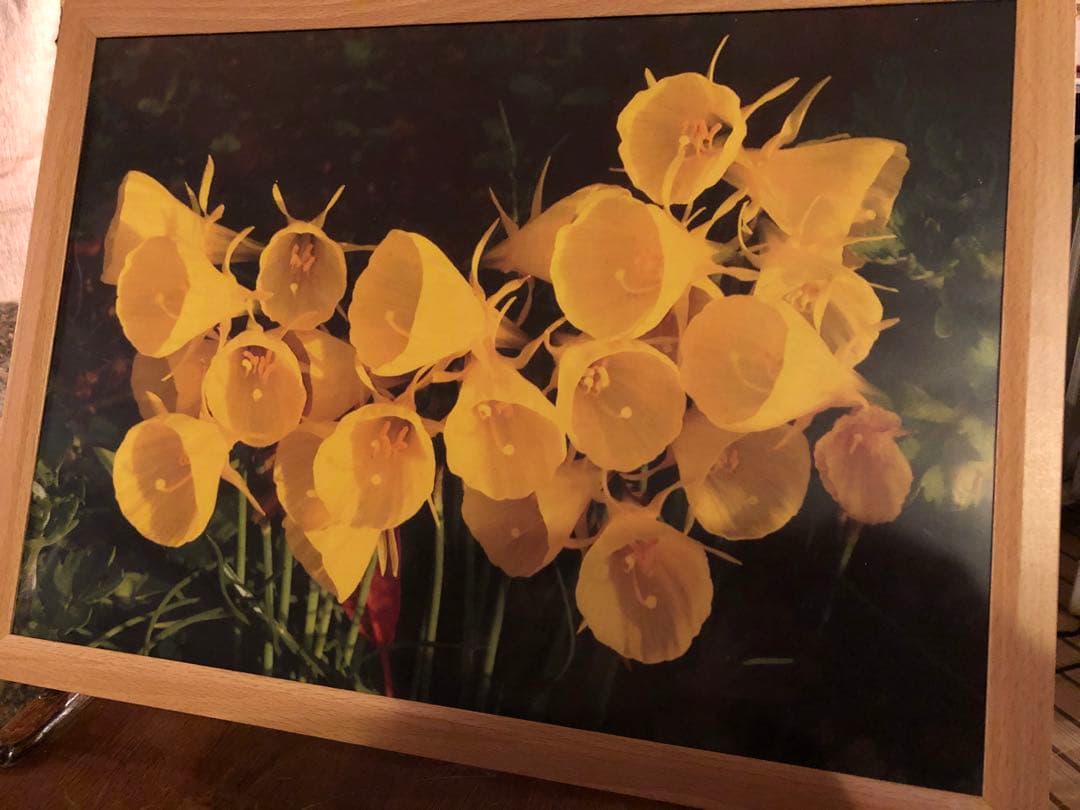 写真家　宮下利光の一眼レフで撮った写真になります。