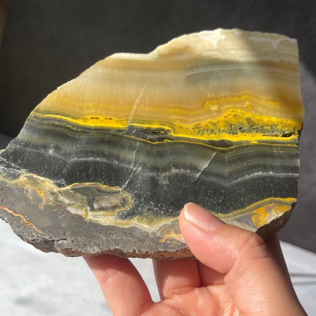 レア バンブルビー スラブ プレート