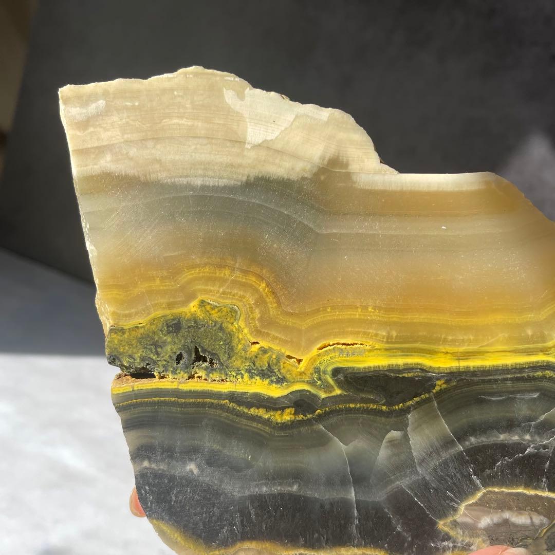 レア バンブルビー スラブ プレート