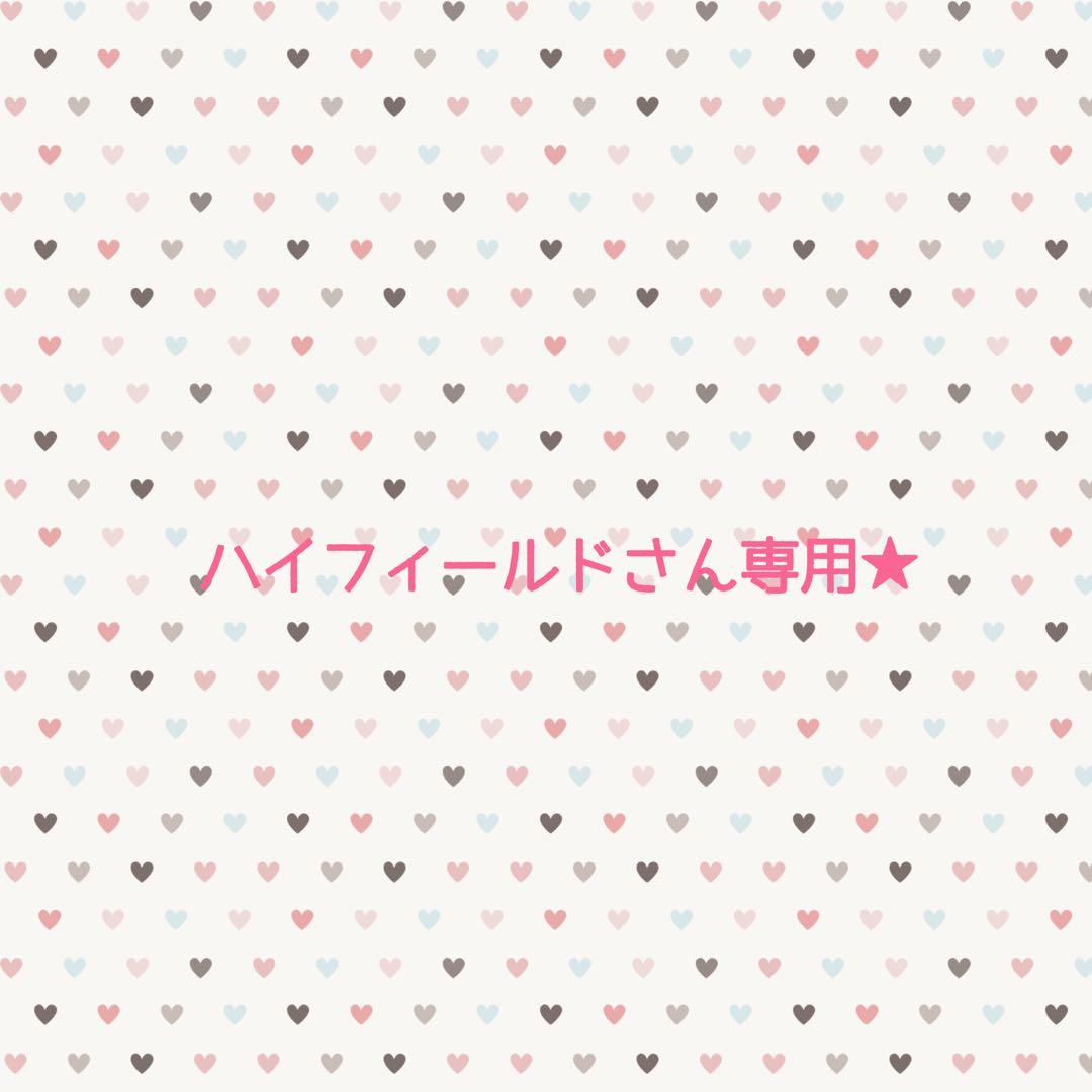 ハイフィールドさん専用★セミダブルフレーム×2 アーム×2