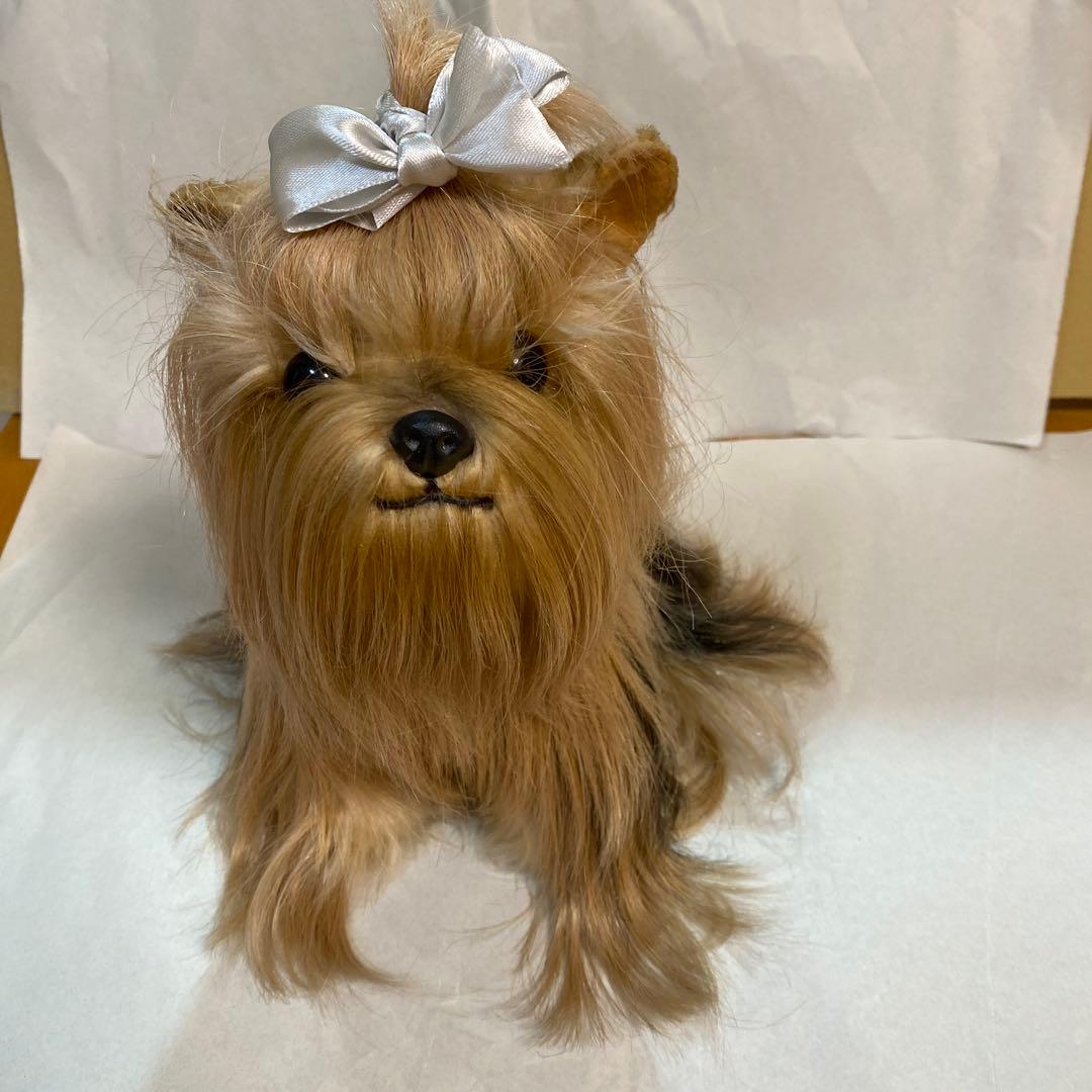 フォンテーヌ　ドレッシーペット　ヨークシャテリア