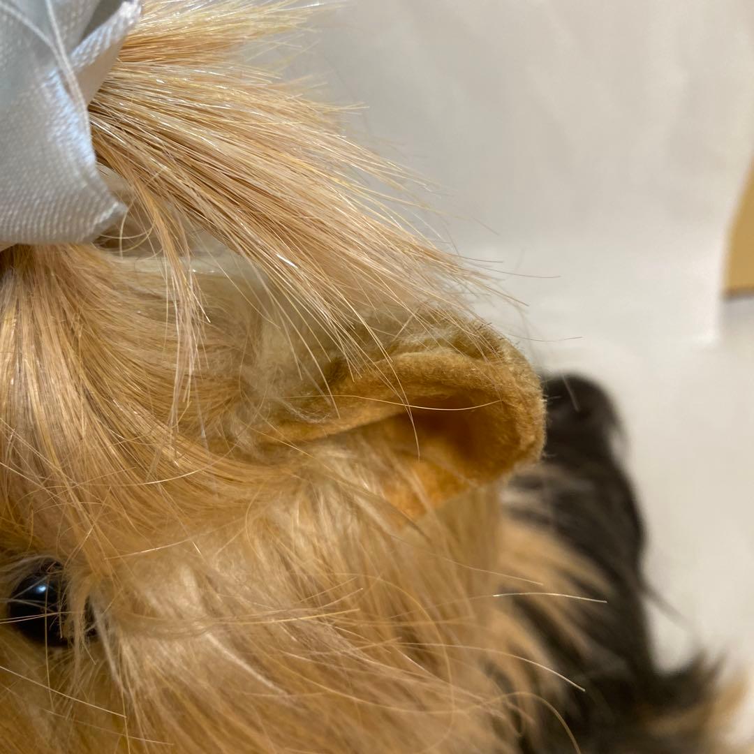 フォンテーヌ　ドレッシーペット　ヨークシャテリア