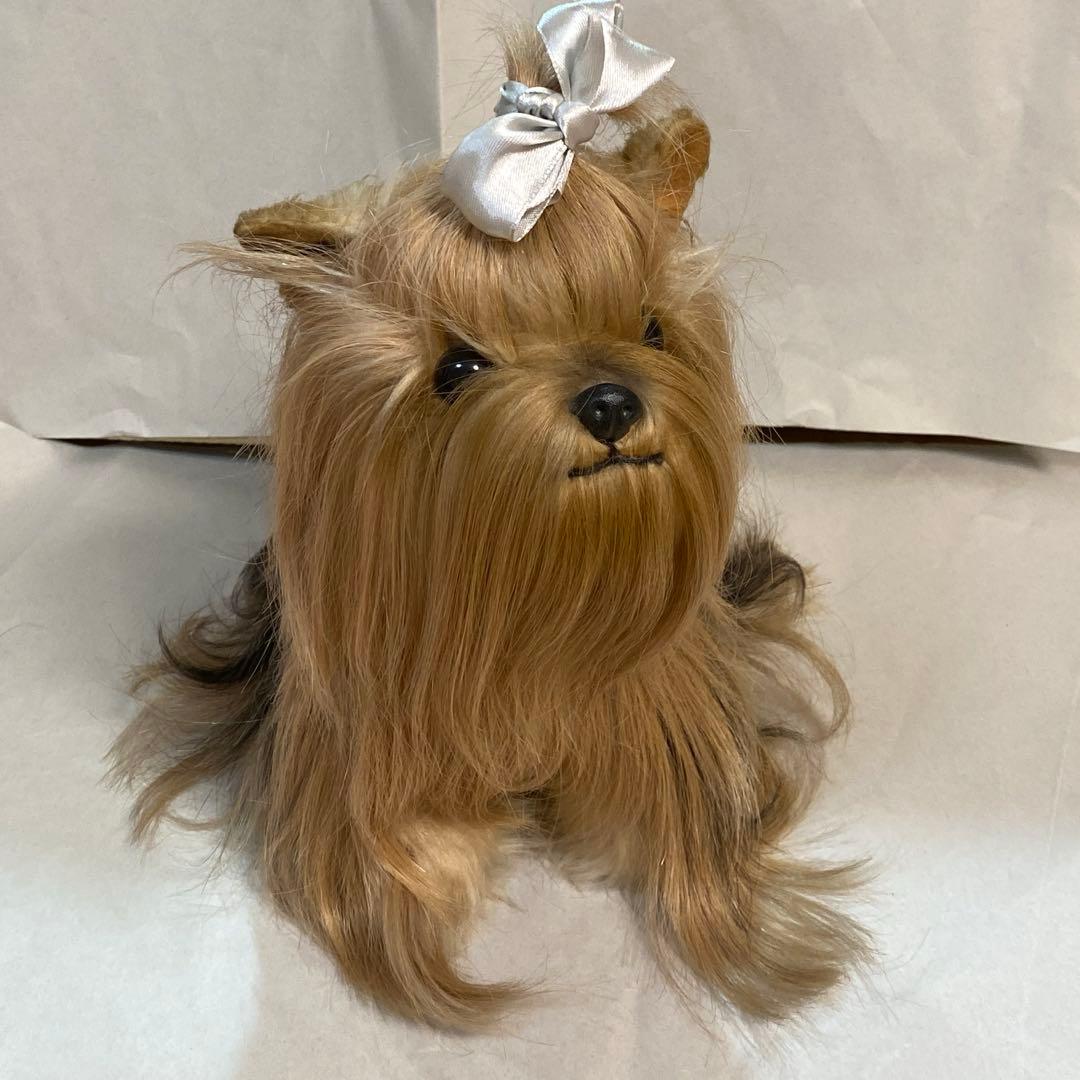 フォンテーヌ　ドレッシーペット　ヨークシャテリア