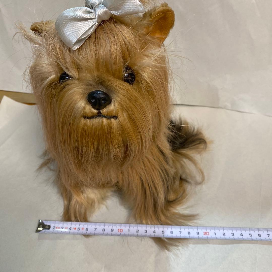 フォンテーヌ　ドレッシーペット　ヨークシャテリア