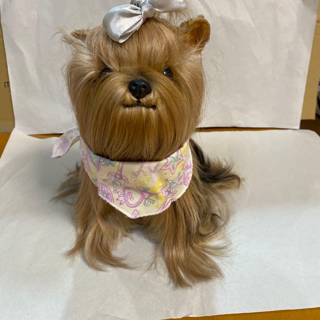 フォンテーヌ　ドレッシーペット　ヨークシャテリア