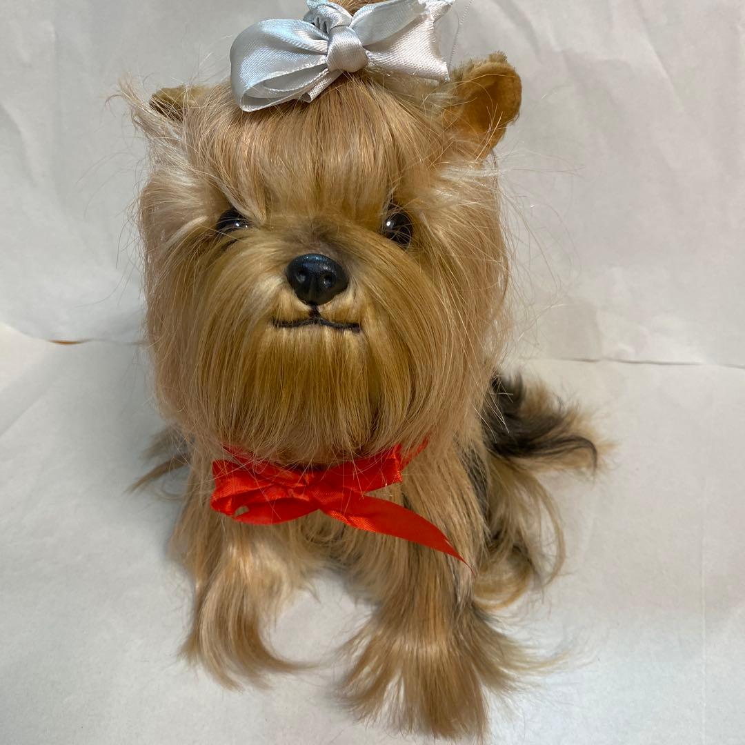 フォンテーヌ　ドレッシーペット　ヨークシャテリア