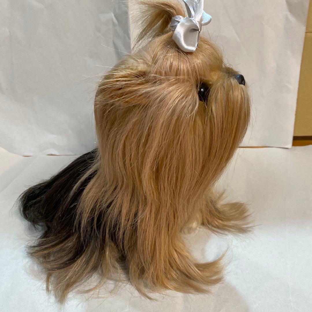 フォンテーヌ　ドレッシーペット　ヨークシャテリア